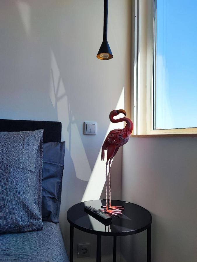 O Flamingo Apartments Ovar Buitenkant foto